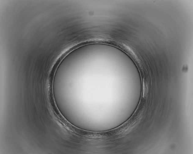 X0000091300435200708101051