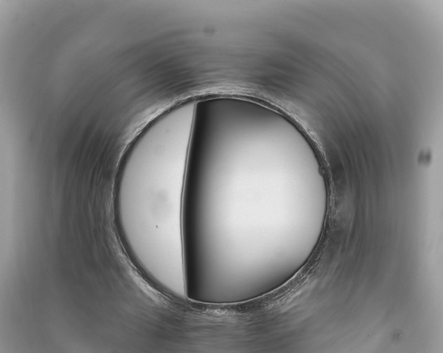 X0000091300437200708101051