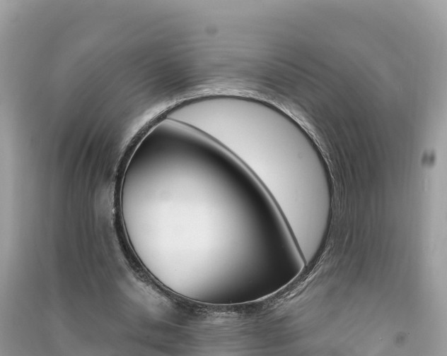 X0000091300438200708101051