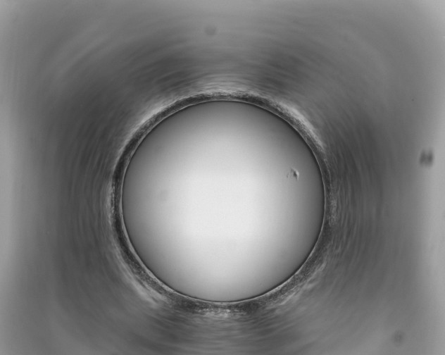 X0000091300439200708101051