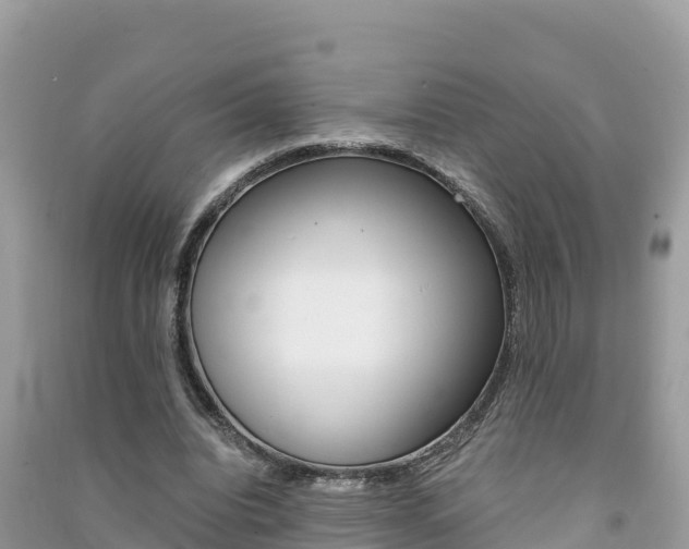 X0000091300440200708101051