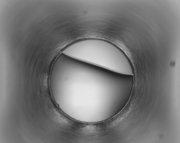 X0000091300441200708101051