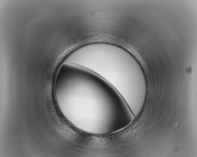 X0000091300442200708101051