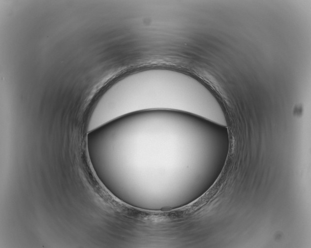 X0000091300444200708101051