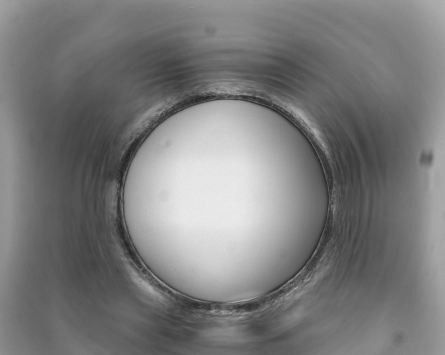 X0000091300445200708101051