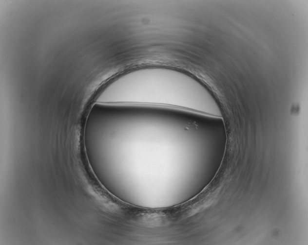 X0000091300446200708101051