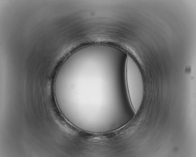 X0000091300447200708101051