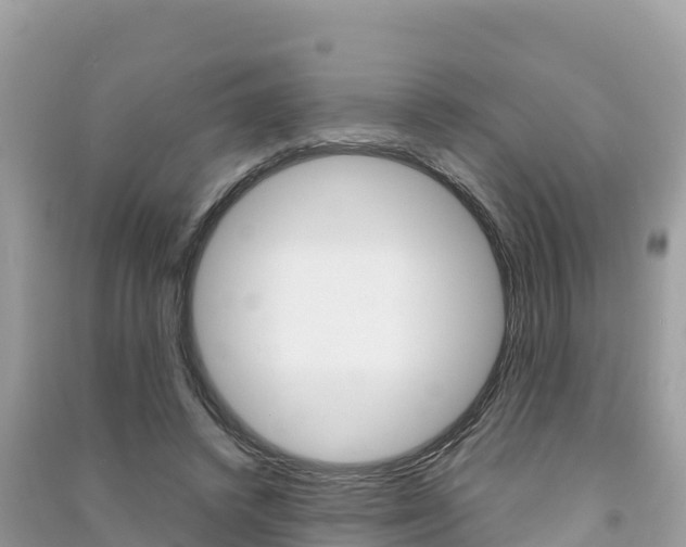 X0000091300448200708101051