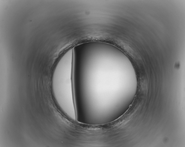 X0000091300450200708101051