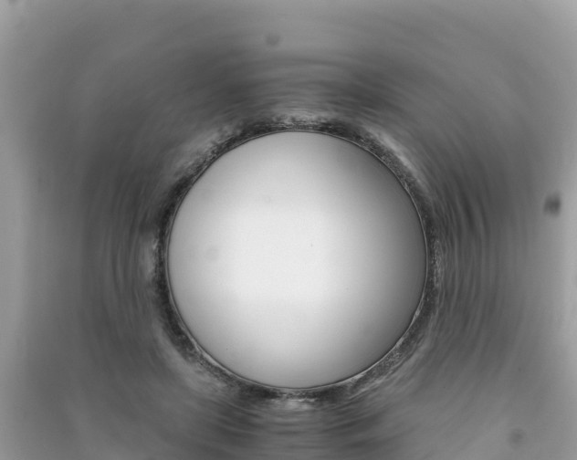 X0000091300451200708101051