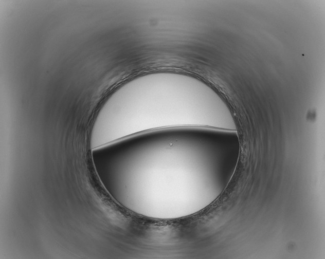 X0000091300454200708101051