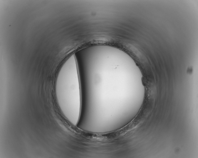 X0000091300455200708101051