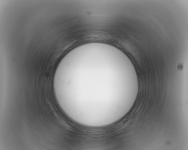 X0000091300456200708101051