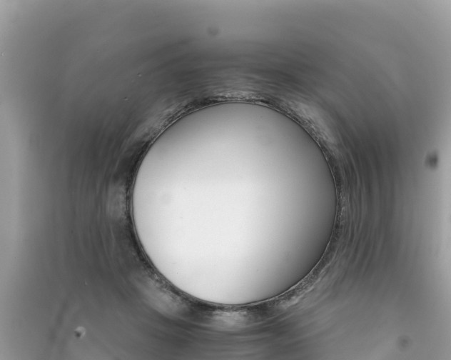X0000091300457200708101051