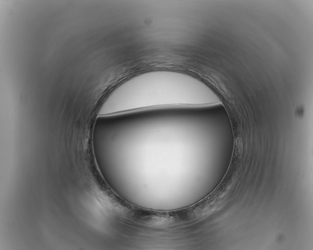 X0000091300458200708101051