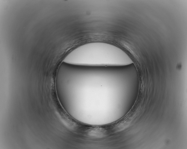 X0000091300459200708101051