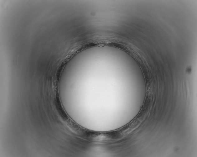 X0000091300460200708101051