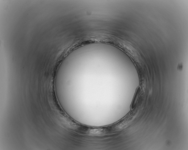 X0000091300461200708101051