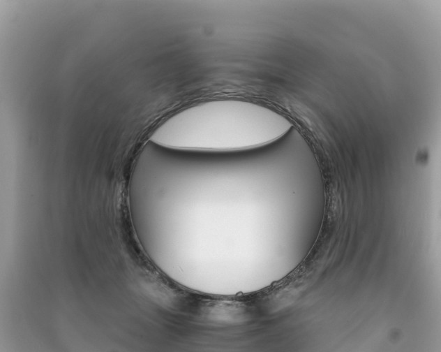 X0000091300463200708101051