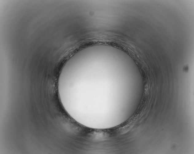 X0000091300464200708101051