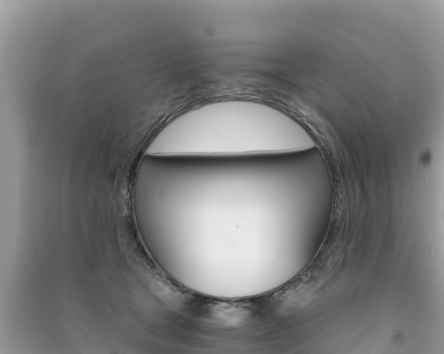 X0000091300465200708101051