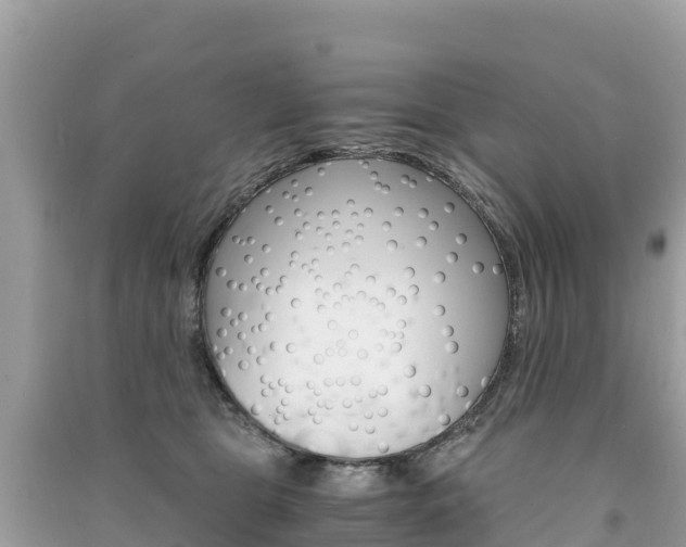 X0000091300469200708101051