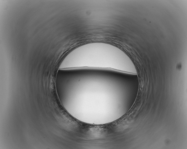 X0000091300470200708101051