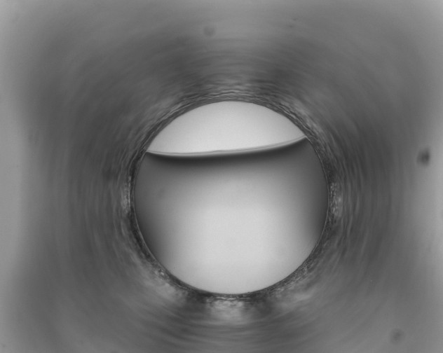 X0000091300471200708101051