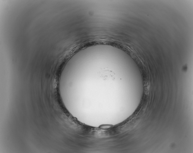 X0000091300472200708101051
