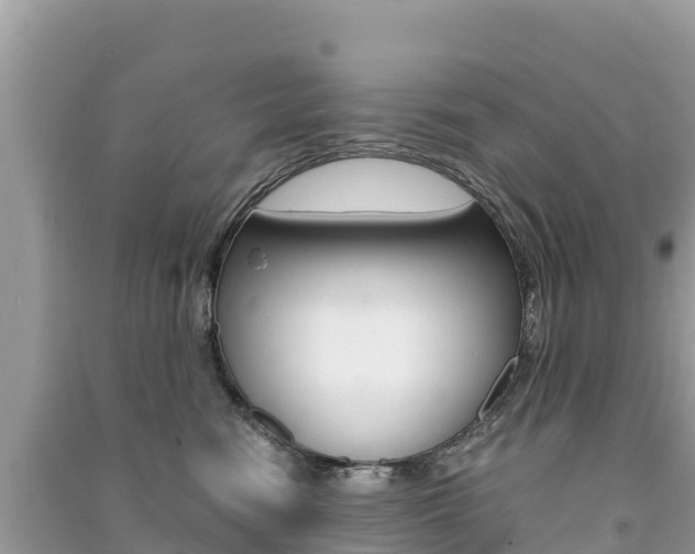 X0000091300474200708101052