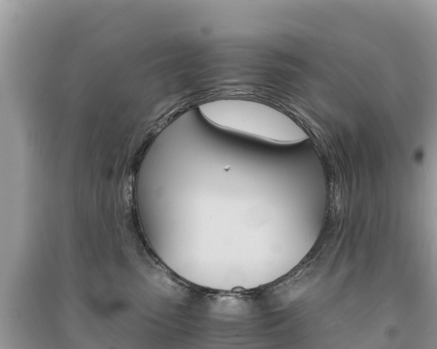 X0000091300475200708101052
