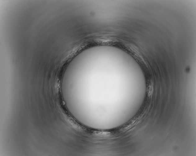 X0000091300476200708101052