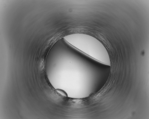 X0000091300478200708101052