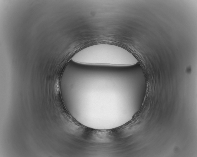 X0000091300479200708101052