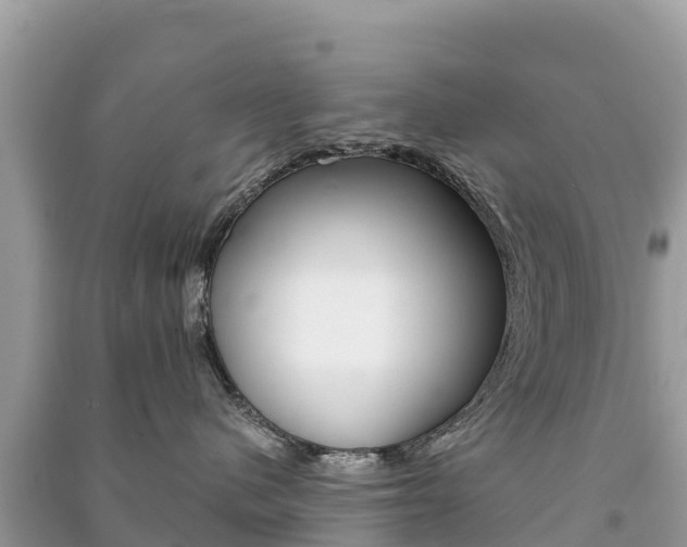 X0000091300480200708101052