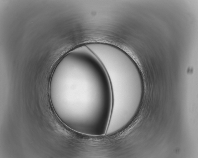 X0000091300481200708101051