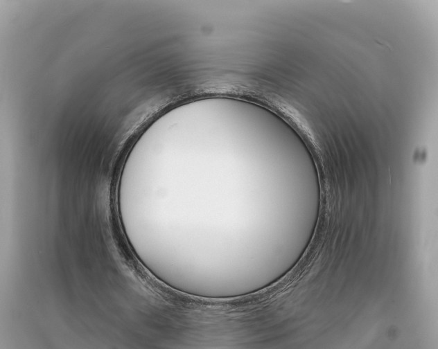 X0000091300482200708101051