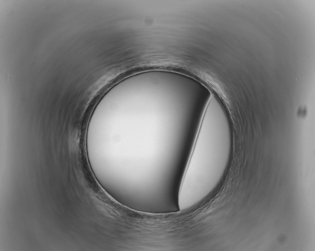 X0000091300483200708101051