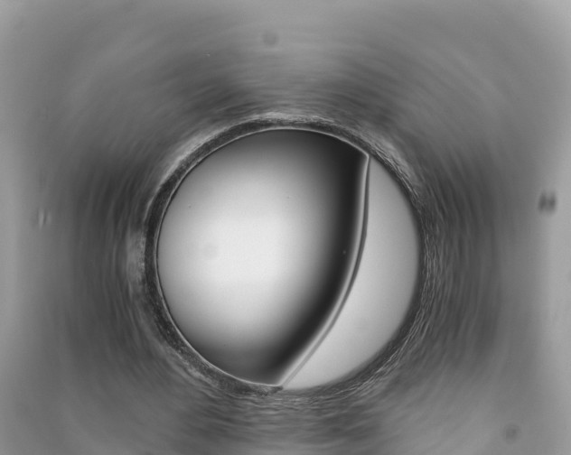 X0000091300484200708101051