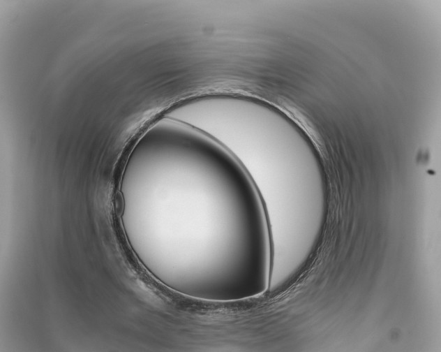 X0000091300485200708101051