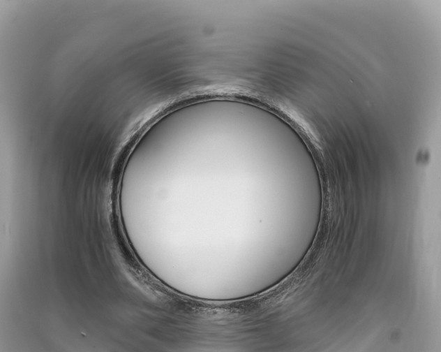 X0000091300486200708101051