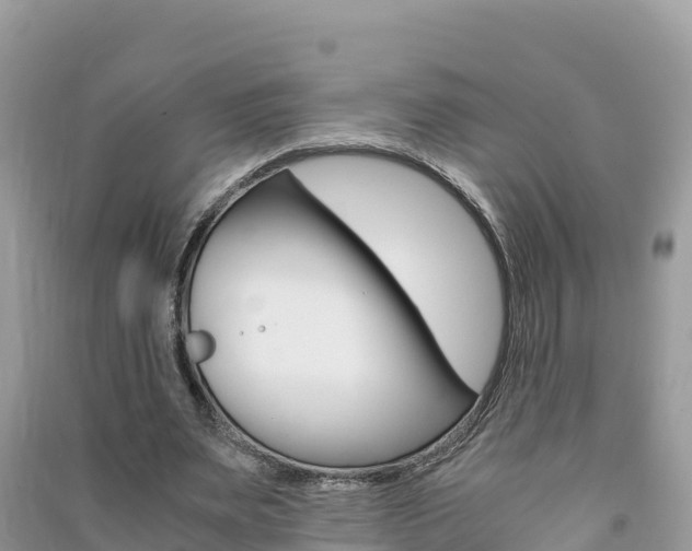 X0000091300487200708101051