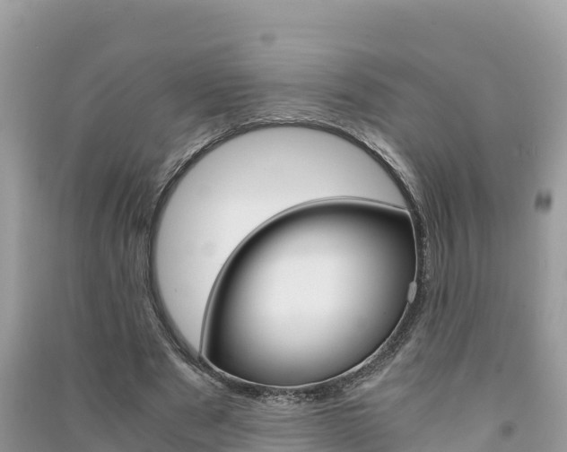 X0000091300489200708101051