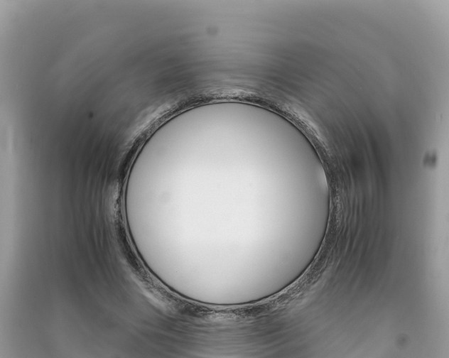 X0000091300490200708101051