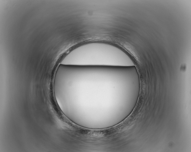 X0000091300491200708101051