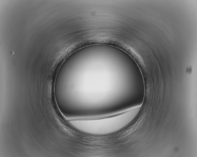 X0000091300493200708101051