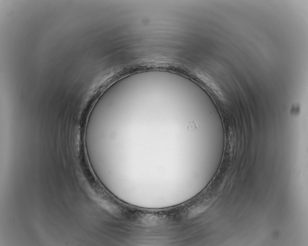 X0000091300494200708101051