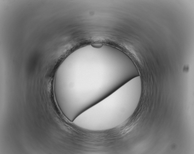 X0000091300495200708101051