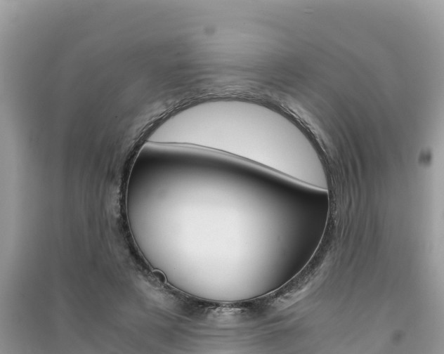 X0000091300497200708101051