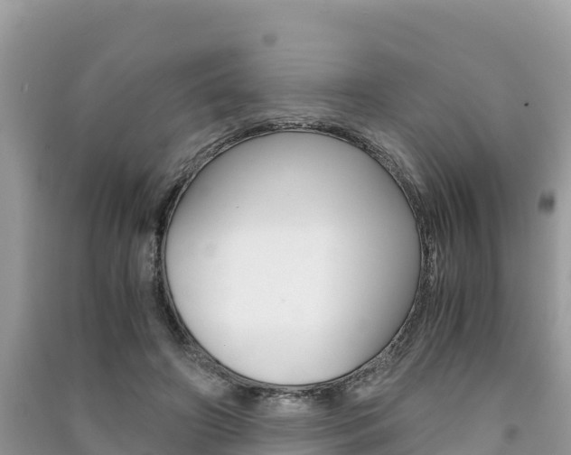 X0000091300498200708101051